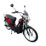 electric vehicles ladyboy head bumblebee front pocket lead-acid battery/lithium battery electric vehicles